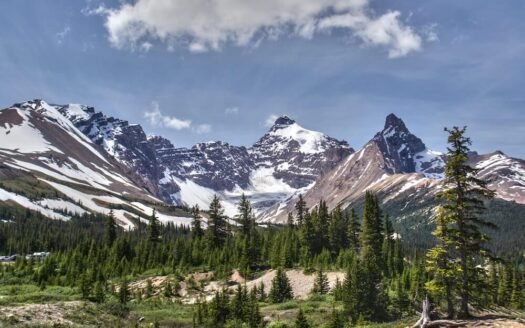 Snowy Mountain Ranch